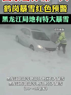 2024年澳门天天开好彩，解读：直击鹤岗暴雪：雪太厚120无法赶来，男子开越野车救人！  